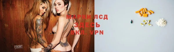мяу мяу мука Арсеньев